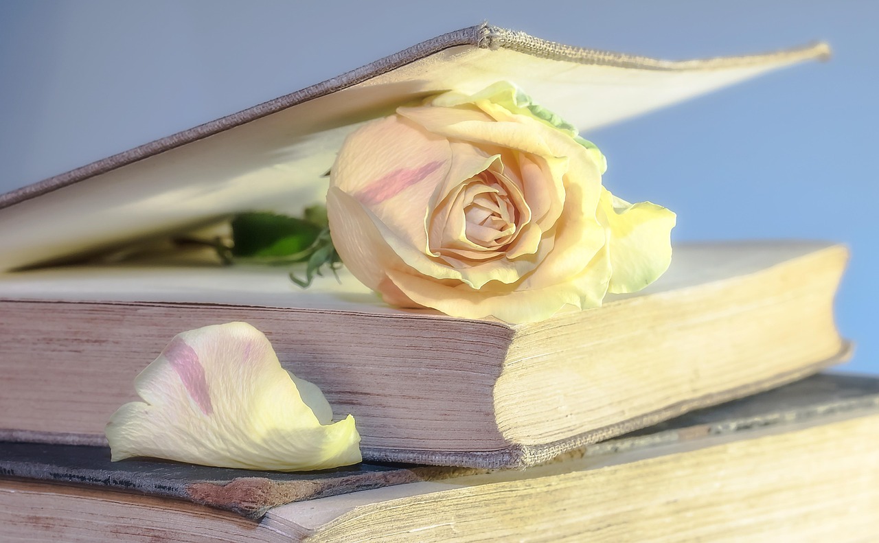 15 Kosakata Bahasa Spanyol Romantis Biar Makin Sweet